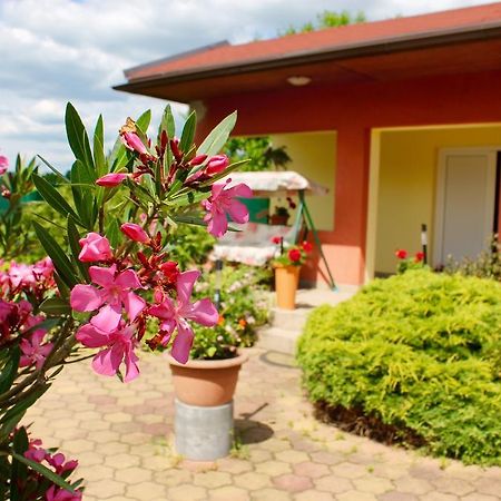 Anna Panzio Bed & Breakfast Egerszalok Exterior photo