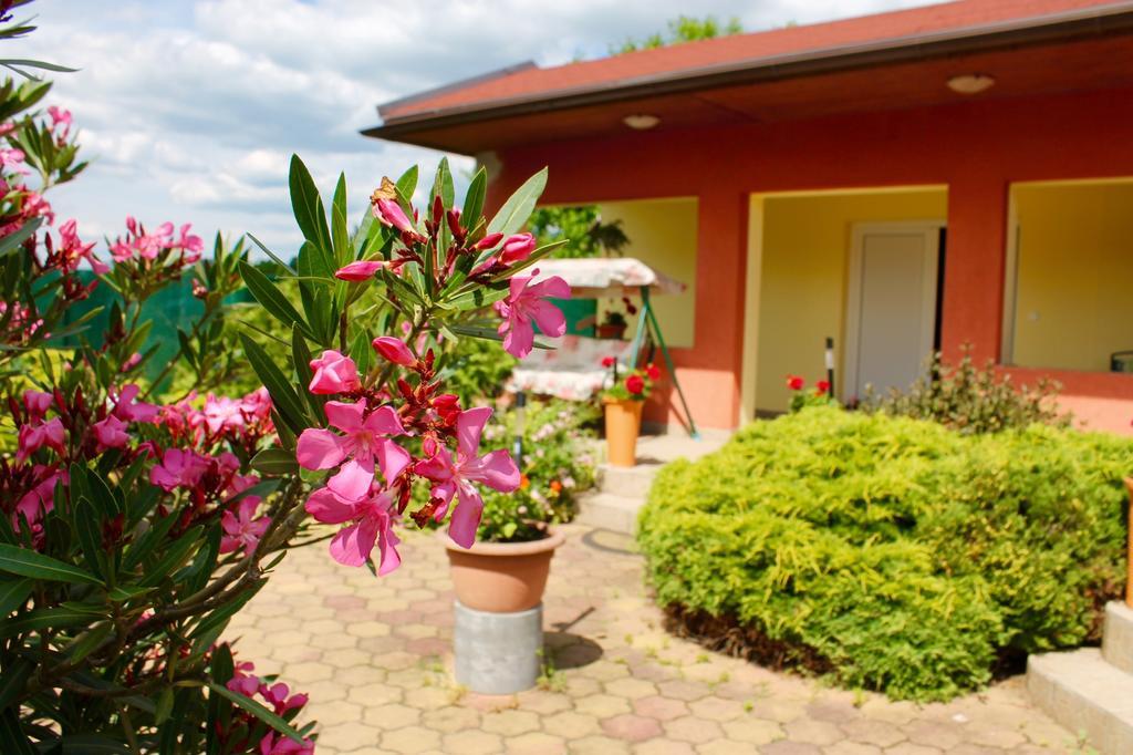 Anna Panzio Bed & Breakfast Egerszalok Exterior photo